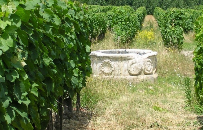 Visite et dégustation au Château Genibon Blanchereau 1,00 €