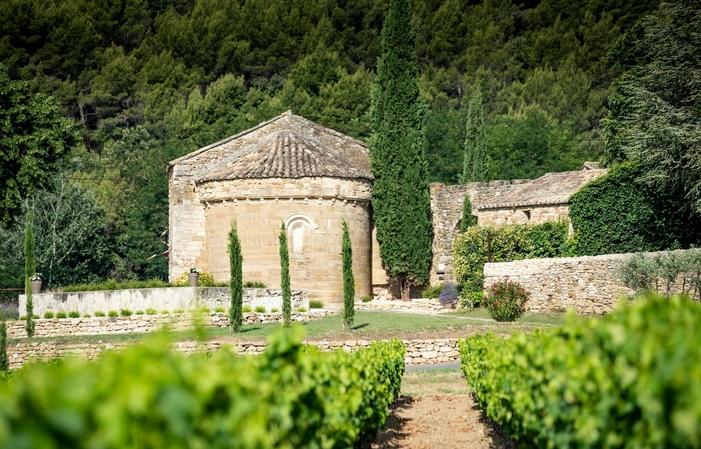 Visite et Dégustation au Domaine Laurens - Vignoble des Templiers 1,00 €