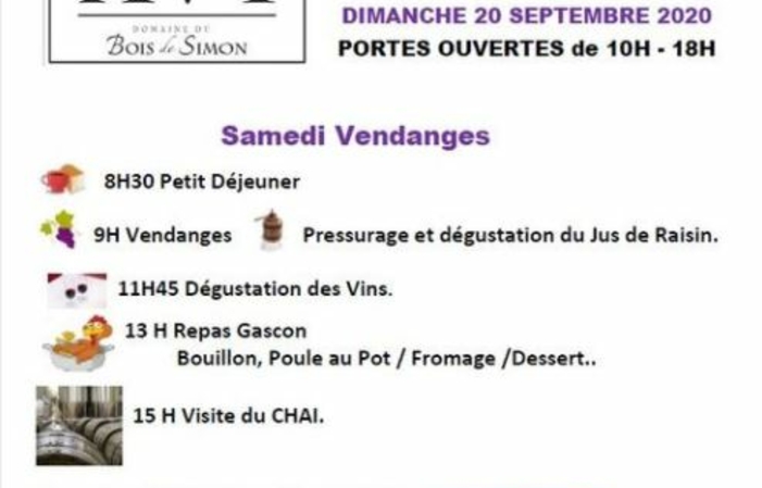 Journée vendanges: Domaine Bois de Simon 20,00 €