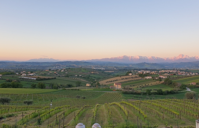 Visite et dégustation au  Stefania Pepe..Vini Bio & Dinamici Azienda Agricola 1,00 €