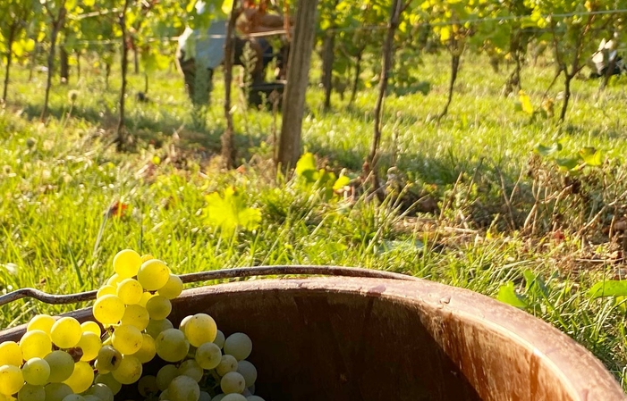 Visite et dégustations au Domaine laurens marcillac 1,00 €