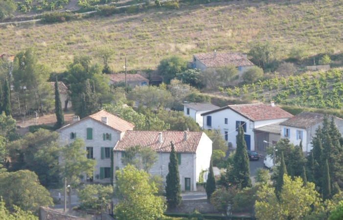 Grand Guilhem: Visite et dégustation au domaine 22,00 €