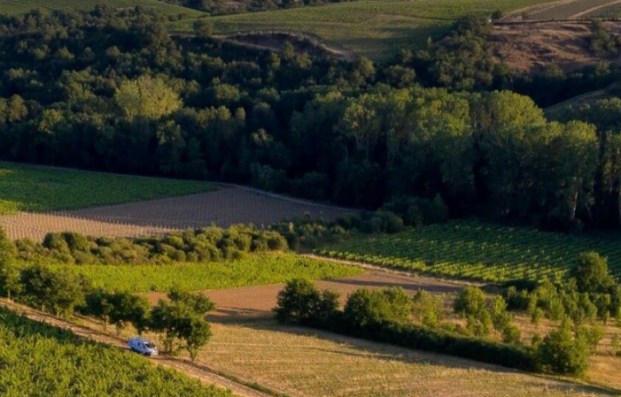 Visite et dégustations du Domaine Ogereau 1,00 €