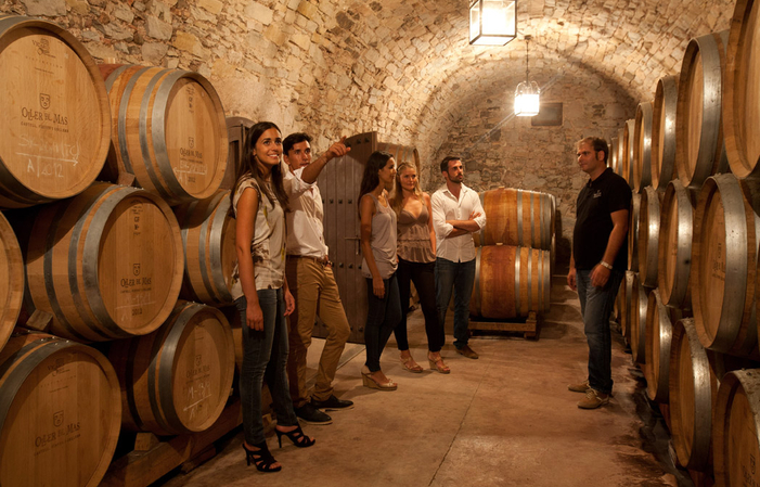 Visite de la cave et du Château et dégustation des vins et huile d'olive du domaine 15,00 €