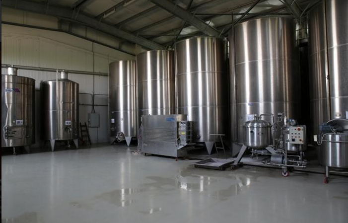 Visite de CRAMA AURELIA VISINESCU 19,00 €