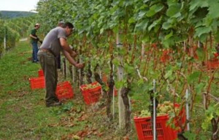 Visite du domaine Antica Cascina dei Conti di Roero 1,00 €