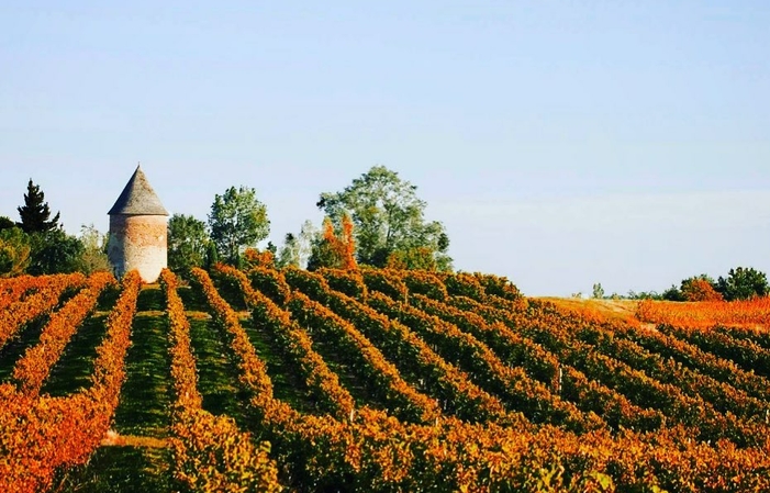 Visite et dégustations du Domaine laballe 1,00 €