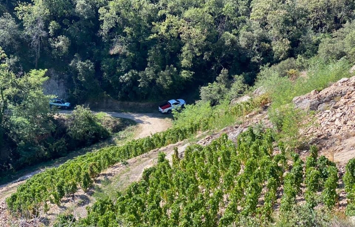 Visite et Degustation Du Domaine Du Tunnel 1,00 €