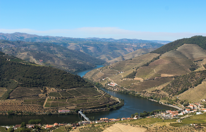 Winetour: Journée dans le Douro: 2 vignobles 100,00 €