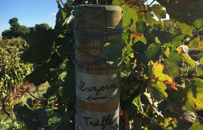 Visite et dégustations au Domaine Enclos de la Croix 46,00 €