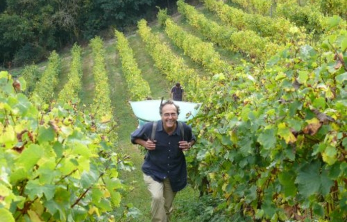 Visite Domaine de la Roche aux Moines: Coulée de Serrant 1,00 €