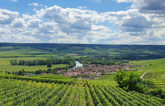 Visite Du Domaine Champagne Naveau 1,00 €