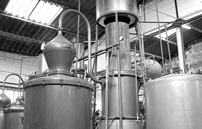 Visite et dégustation de la Distillerie  Manguin 1,00 €