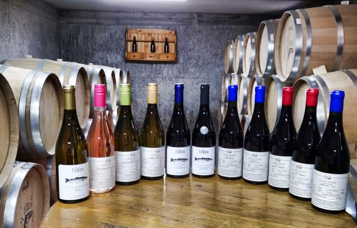 Visite de Crama Ferdi Winery 10,00 €