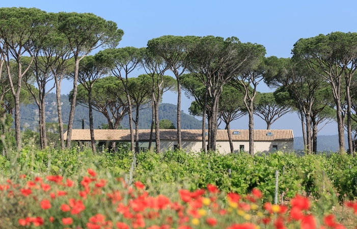 Visite et Dégustation au Domaine des Féraud 1,00 €