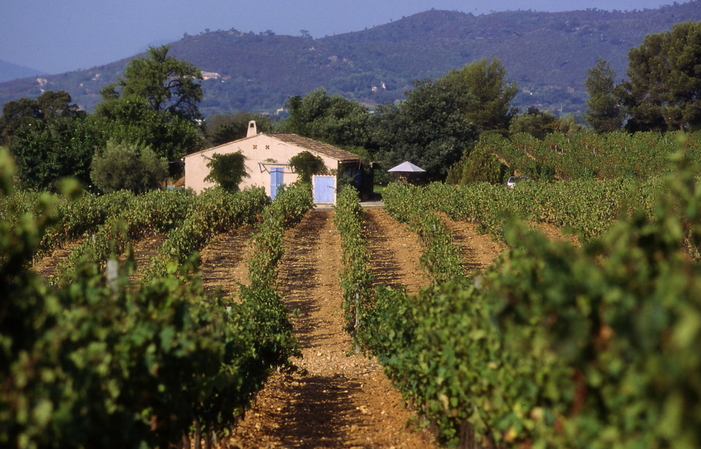 Visite et Dégustation au Domaine Figuière 1,00 €
