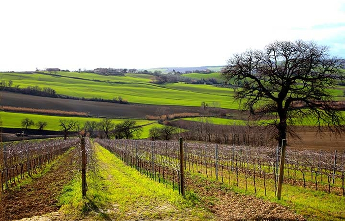 Visite Du Domaine Azienda Agricola Bruscia 1,00 €