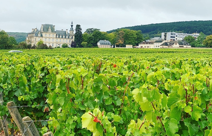 Visite et dégustation du domaine Huguenot 1,00 €