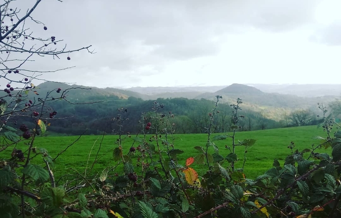 Visite et dégustations de la Distillerie Baptiste 1,00 €