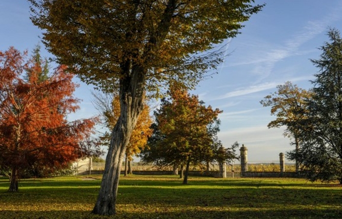 Déjeuner sur l'herbe - Château Malescasse 35,00 €