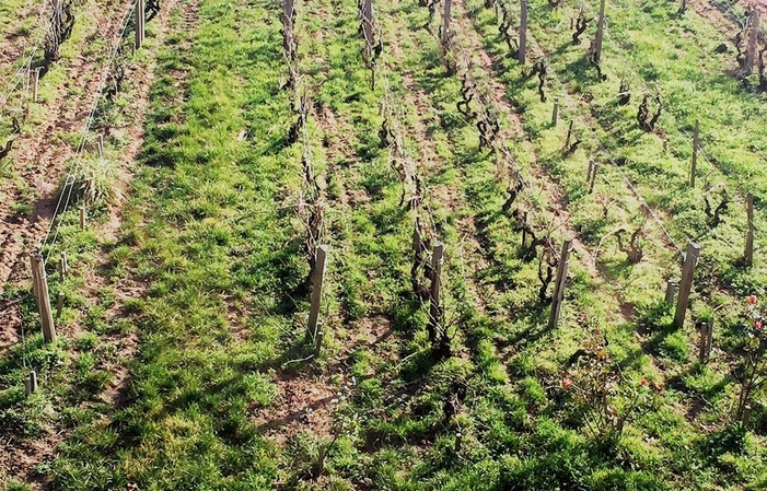 La Grande Dégustation des Bachelards avec les Bouchées en Accords Mets & Vins 44,00 €