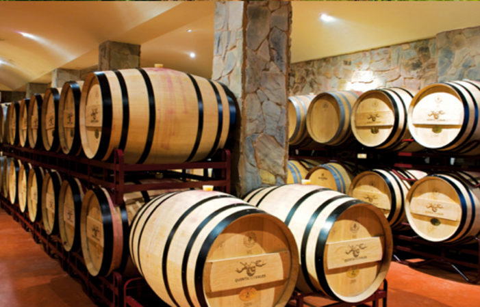 Wine tasting and Guided Tour 10,00 €