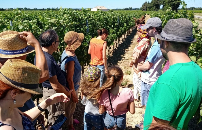 Visite et dégustations du Domaine Des Favards 1,00 €