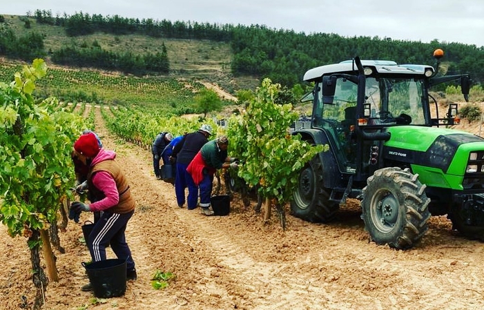 Visite du domaine ARROCAL 1,00 €