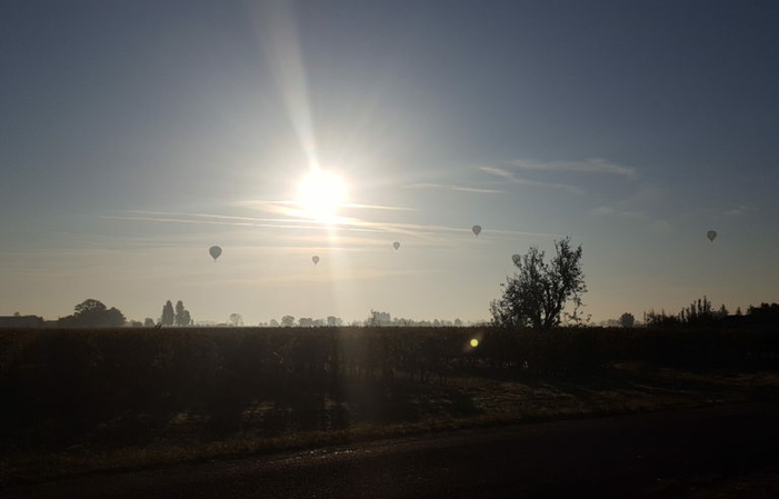 Visite et Dégustation au Château Grand Destieu 1,00 €