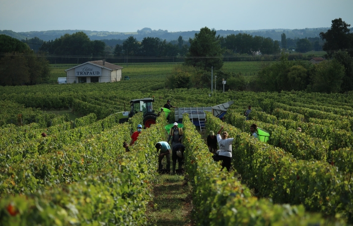 Visite et Dégustation : de la vigne au chai au Château Bernateau 10,00 €