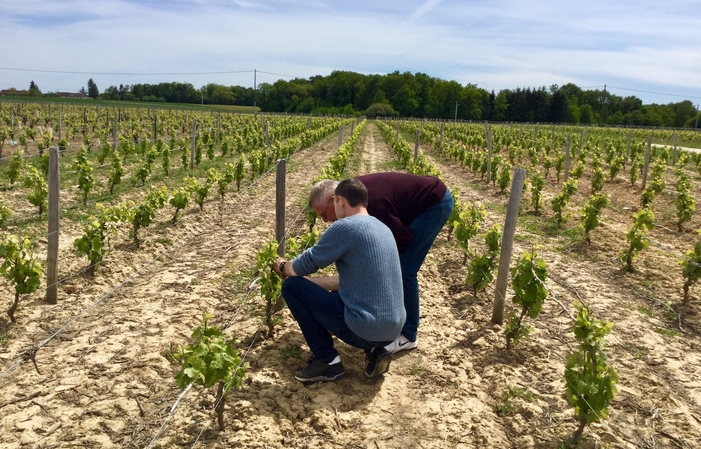 Voyage de découverte du vin de Loire depuis Paris 195,00 €