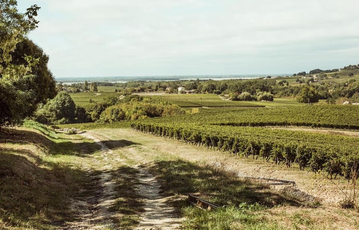 Visite et Dégustation au Château Haut-Guiraud 1,00 €