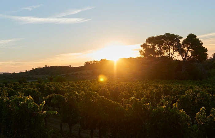 Visite de la cave et Dégustation de nos vins BIO 9,00 €