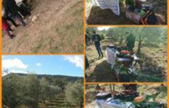 Visite et dégustations au Domaine Terre de Mistral 13,00 €