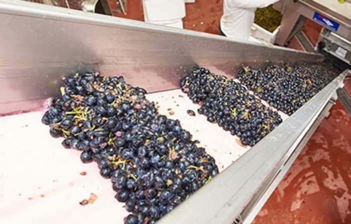 Visite et Dégustation au Domaine Laurens - Vignoble des Templiers 1,00 €