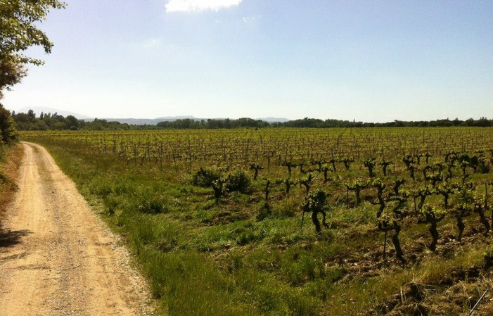 Visite et Dégustation au Domaine du Jas 1,00 €