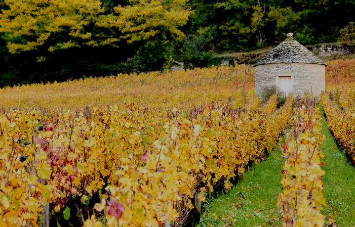 PUBLIC TOUR Domaines et châteaux 59,00 €