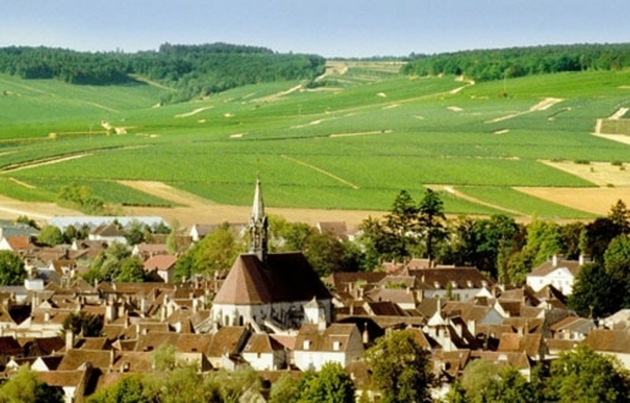 Visite itinérante Chablis au départ de Paris 170,00 €