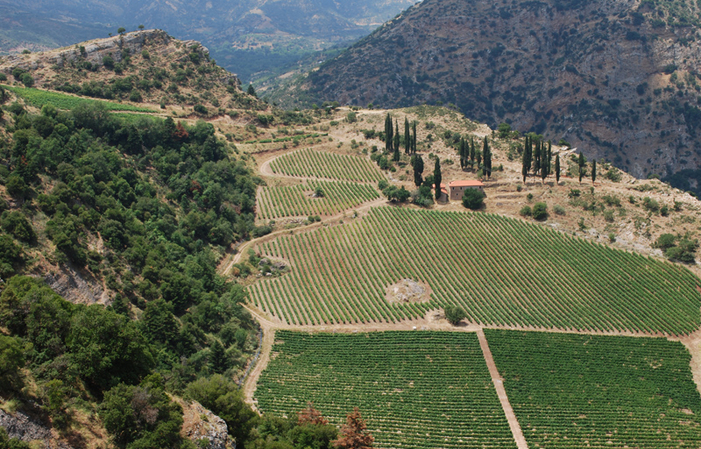 Visite de Cavino 9,00 €