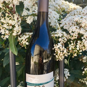 Photo du vin