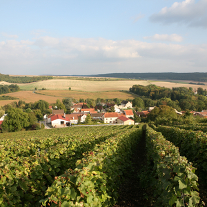 Photo du vin