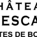 Château Puy Descazeau C.
