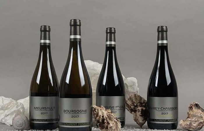 Selezione di Borgogna: Laurent Ponsot Wines Gratuito