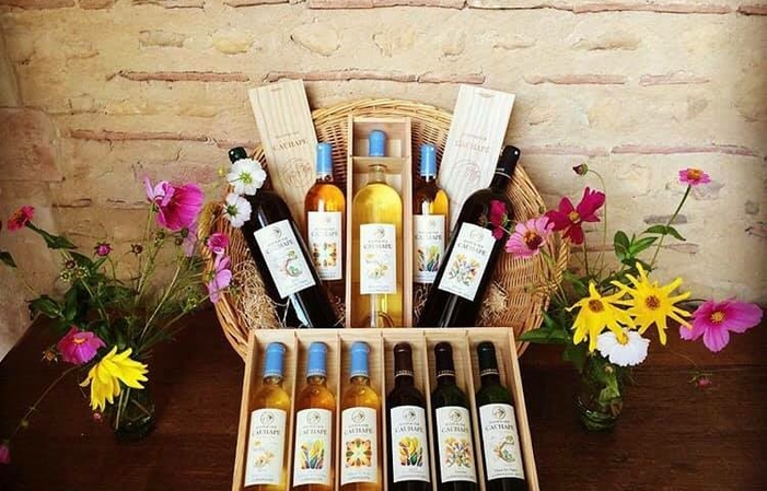 Cantina diretta: Domaine Cauhape 12,80 €