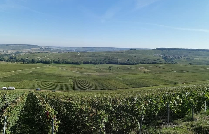 Selezione di champagne, Domaine Dehours Gratuito