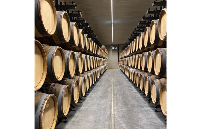 Selezione di Borgogna: Laurent Ponsot Wines Gratuito