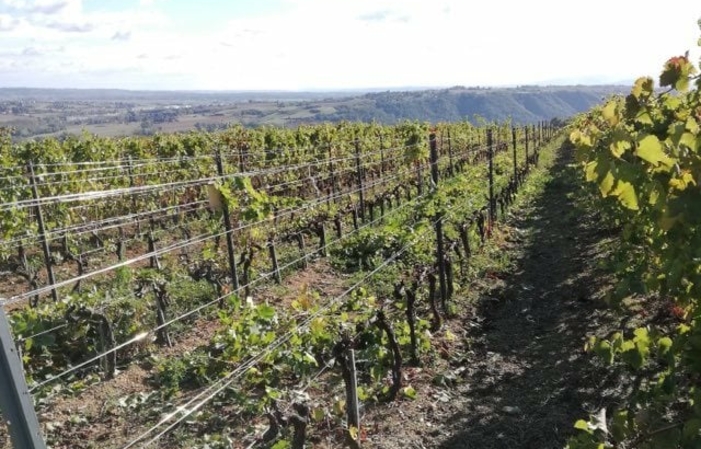 Selezione di vini Domaine Clusel-Roch Gratuito