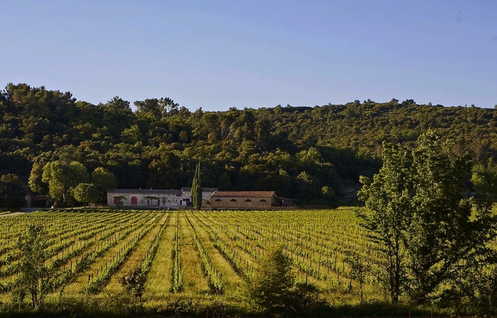 Live winegrowers vendita 14,00 €