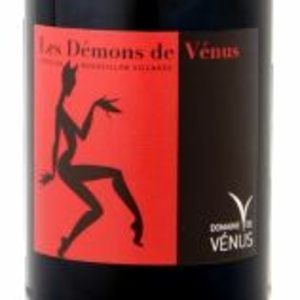 immagine del vino