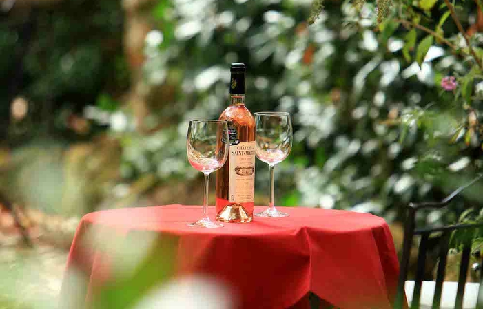 Tour del castello di Saint Martin, degustazione e 50,00 €